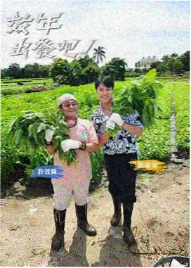 成年人在线免费综艺